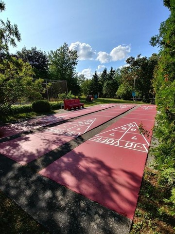 Shuffleboard games